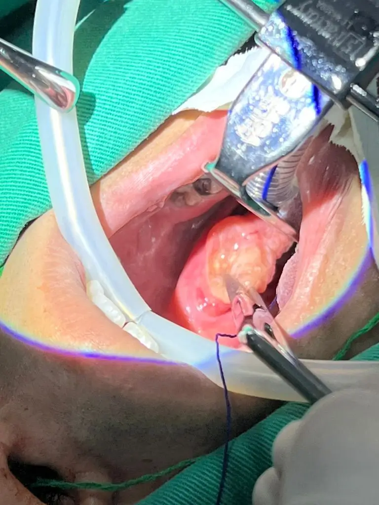 WhatsApp Image 2026-01-19 at 07.36.34